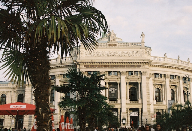 image of a theater with palms in the forefront